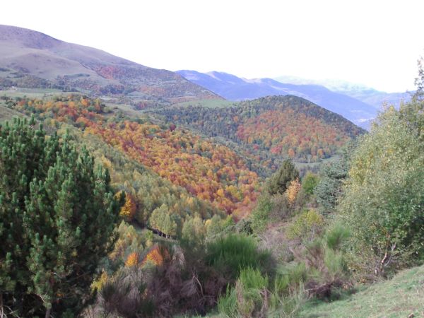 Herbst.jpg