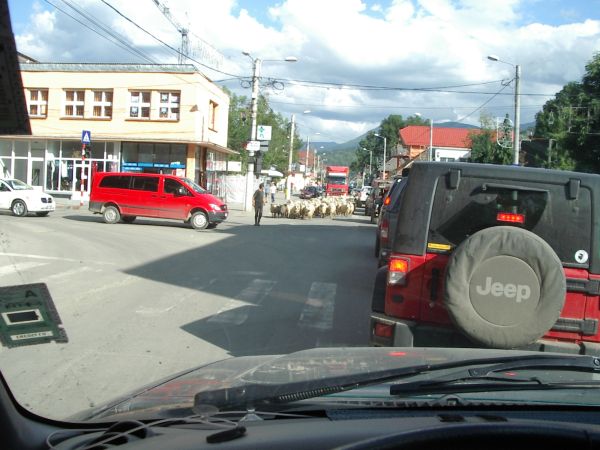 Stadtverkehr.jpg